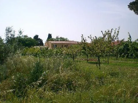 Ferienhaus In Cecina Mit Grossem Garten Holiday home